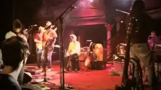 Elephant 6 Orchestra - Olivia Tremor Control 