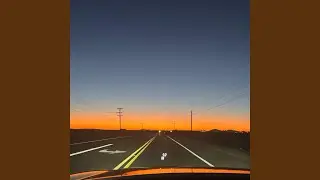 Trunk Funk