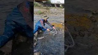 Best scooping fish ever #fishingmethods #just4u