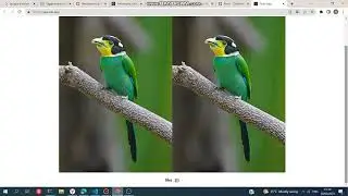 React - || Html || CSS ||