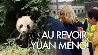 The French first lady Brigitte bids fond farewell to France-born panda Yuan Meng heading to China