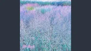 花开前