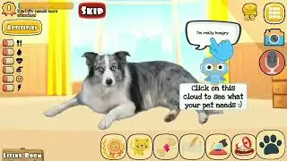 Real Pets by Fruwee | 2 activities done eating and brushingteeth