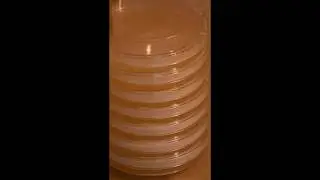 Видео 2 серии Agar: управление конденсацией