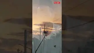 #gusbaha