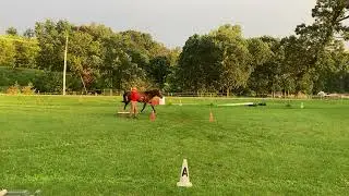 Michelle and Glory ILHA  Leadline Pattern 3