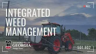 2024 Integrated Weed Management for Forage Systems