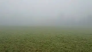 Eksel dans la brume