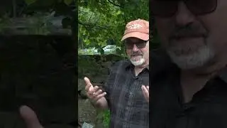 David Winston: Witch Hazel