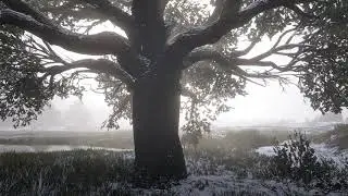 Madam Nazar Location today 12/27/2025 Dec 27th #rdo | Red Dead Redemption 2 #rdr2 #arthurmorgan #now