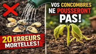 Vos concombres ne germeront PAS si vous faites ÇA. Les 20 erreurs fatales à la plantation.
