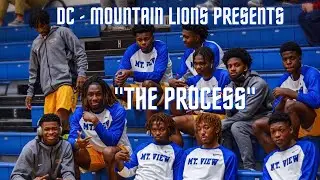Dallas College-Mountain View Lions 