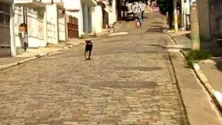 Dobermann - Tazzmann von Backster  na rua  -   01 Maio 2009