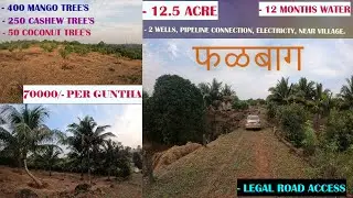 Konkan Properties | well developed Agriculture farm for sale | Mandangad | Ratnagiri