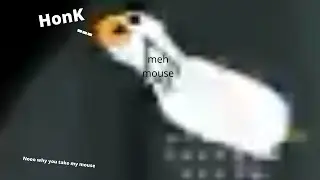 Playing among us with a duck virus
