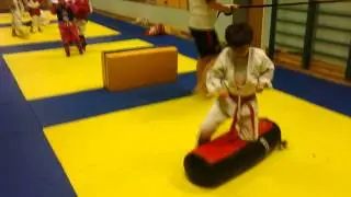 sansuikan
