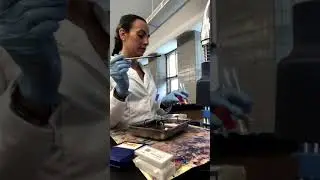 Dr. Noelle Cutter Microbiology