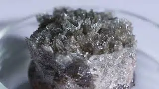 Speaking of Stones. Turning CO2 into Rocks: The Future of Carbon Capture.