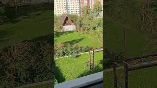Краш тест Digma Linx r240