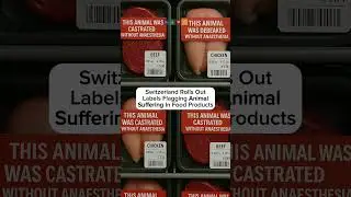 Switzerland Rolls Out Labels Flagging Animal Suffering In Food Products