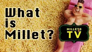 What is Millet and why Millets? | Millets TV