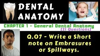Dental Anat. - Ch.01 - Q.07 - Embrasures or Spillways | Dr. Prashant Sharma