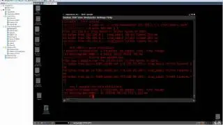 Устранение неполадок сетевых адаптеров в VMware и Backtrack.