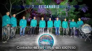 El Canario -  Banda de viento Los Primos de Tixcuayuca