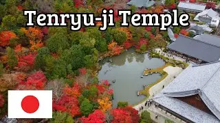 🌿 Zen Beauty at Tenryu-ji Temple ⛩️✨
