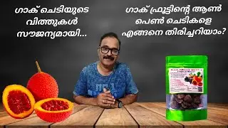 Gac Fruit Seeds for free // ഗാക് ചെടിയുടെ വിത്തുകൾ സൗജന്യമായി നേടാം 