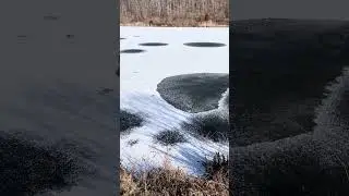 17 Seconds With a Starkly Beautiful Frozen Pond #presence #nature #tranquility