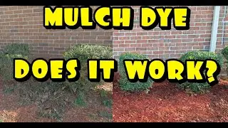 Работает ли краситель MULCH?