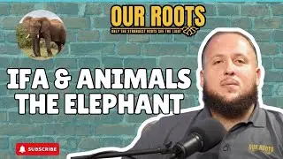 Ifa Animals Elephant Joseph Baba Ifa Santeria Lukumi Isese Orishas ATR Orunmila Obatala Osain Ozain