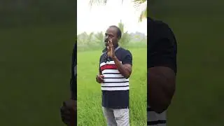 நெல் சாகுபடியில் உழவில்லாத வேளாண்மை சாத்தியமா? புதிய முயற்சியில் மரபு நெல் விவசாயி தாமரைக்கண்ணன்