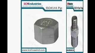 Stainless Steel 150lb Coupling Threaded Fittings
