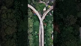 Waited forever for this perfect shot - Yellow and Green Line Metro in one frame | Bengaluru Metro
