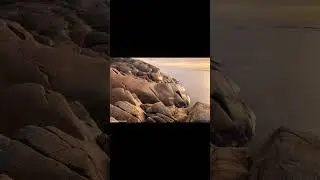Wild Norwegian Wildlife: Stunning 4K Video 📸🦅🌿
