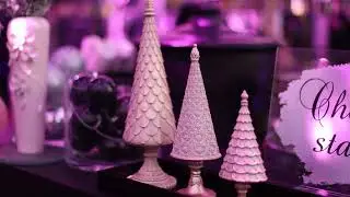 Toni Breiss Christmas party & Office inauguration