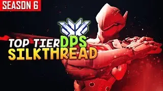 TOP TIER DPS Player - SILKTHREAD [S6 TOP 50]