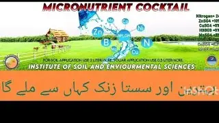 بہترین اور سستا زنک کہاں سے ملے گا