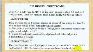 5 introduction for metabolism  low and high energy bond