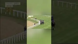 Trawlerman - Gold Cup Winner - Royal Ascot