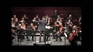 Hipn&ograve;tica, sardana per a orquestra i electr&ograve;nica &mdash; Xavier Pag&egrave;s-Corella