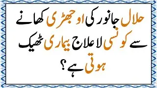 #119 VIDEO | Islamic Q&A &ndash; آج کا دینی سوال | Question of the Day | Quran & Hadith
