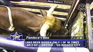 Pandora's Box bucks Mike White - 04 PBR Phoenix