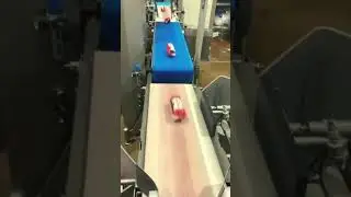 Shortflix Sorting Machines