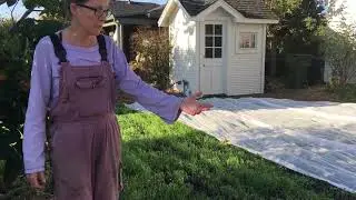 93. Growing a Winter Cover Crop / 2020