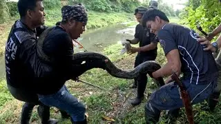 DALAWA PANG LUGAR ANG AMING PINUNTAHAN JOIN FORCE ANG COBRA TEAM #cobraking #cobraprince #tolcobra