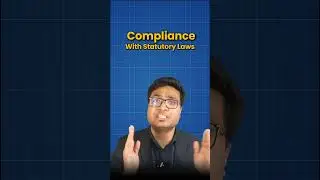 🤫 The ONE Thing Auditors Check That Most People Miss About Revenue!