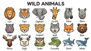 20 Wild Animals 🦁 Names for Preschool Kids | Learn Animals with Pictures#animals